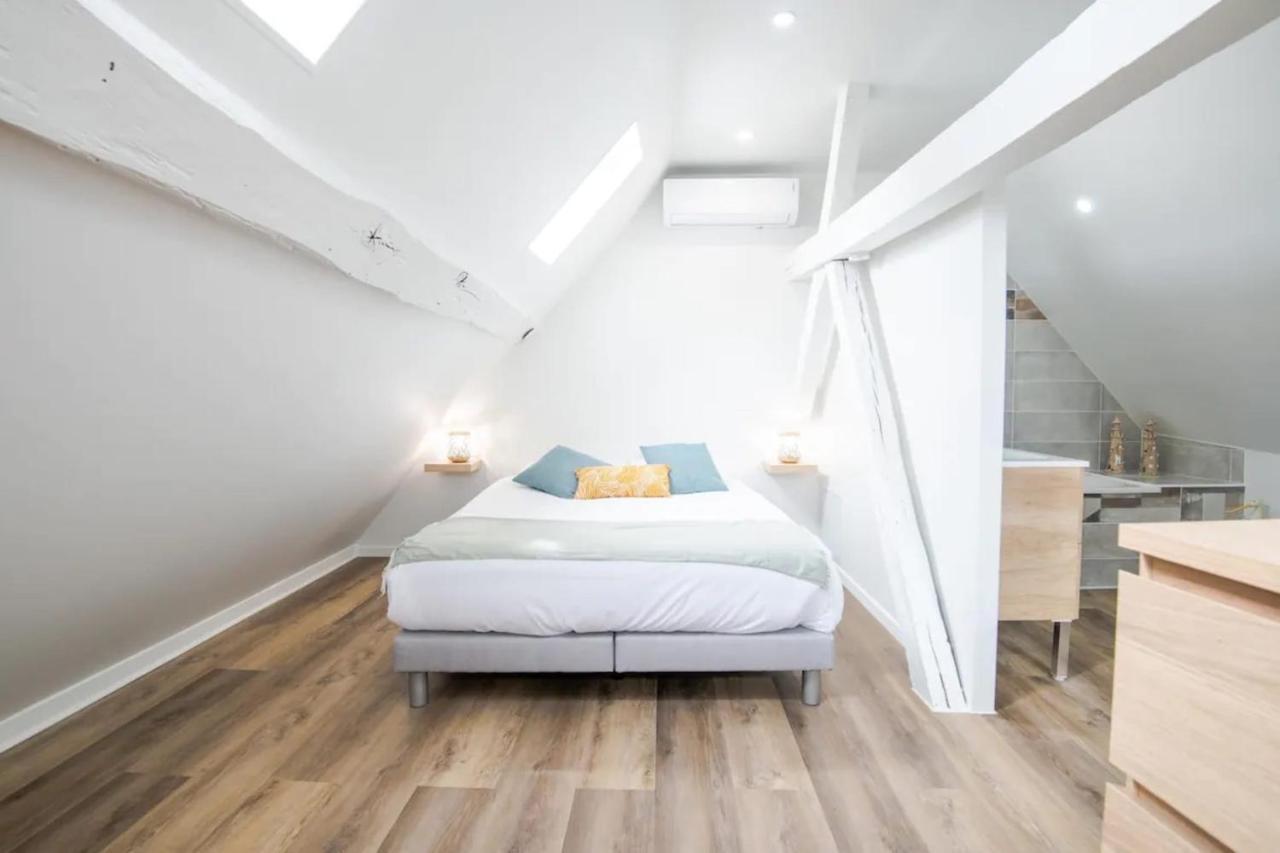 Comfortable Air-Conditioned T3 In The Heart Of Amboise With Parking Space Exteriör bild