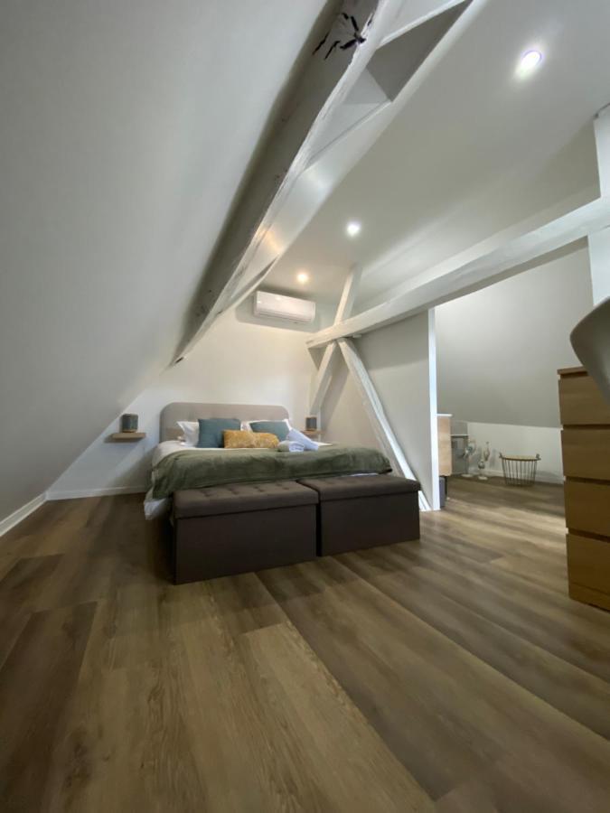 Comfortable Air-Conditioned T3 In The Heart Of Amboise With Parking Space Exteriör bild