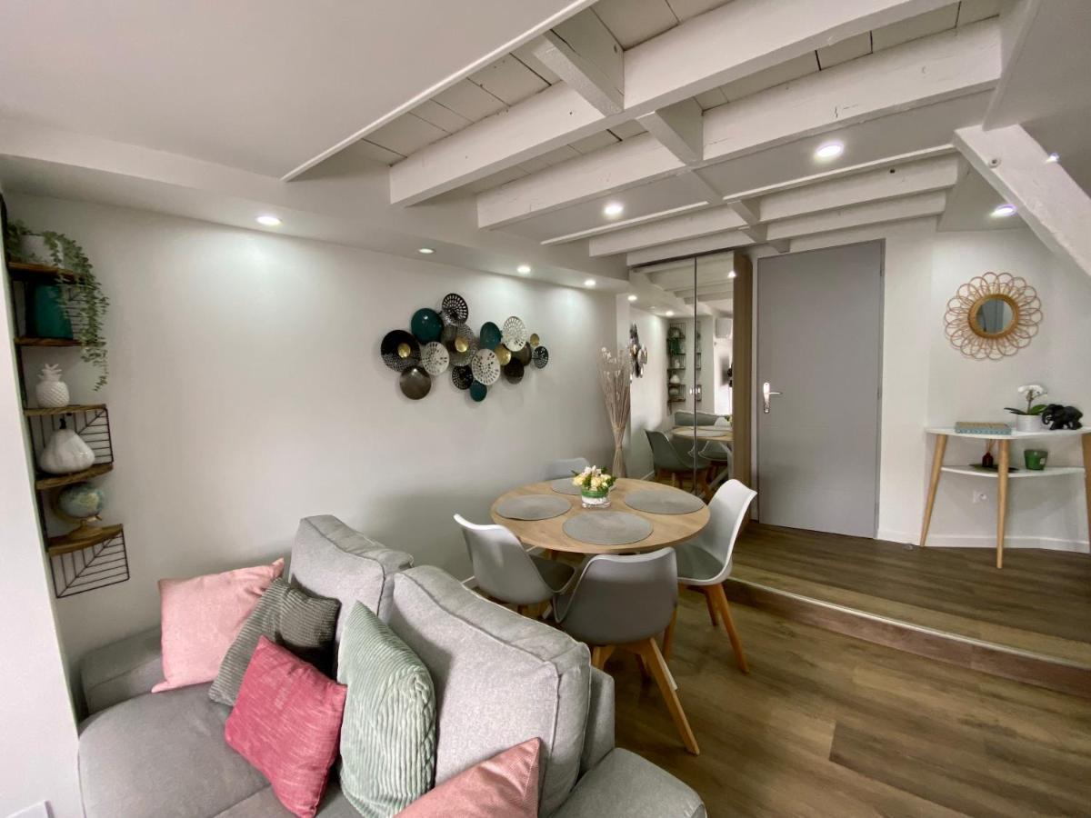 Comfortable Air-Conditioned T3 In The Heart Of Amboise With Parking Space Exteriör bild