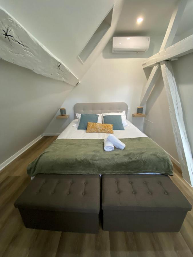 Comfortable Air-Conditioned T3 In The Heart Of Amboise With Parking Space Exteriör bild