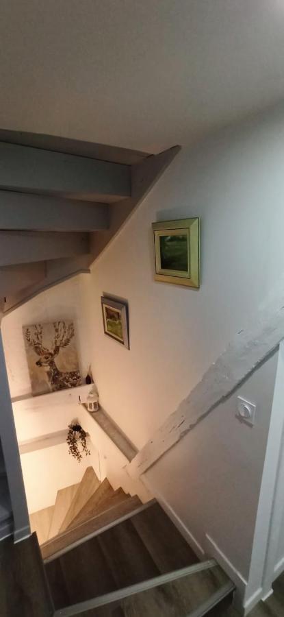Comfortable Air-Conditioned T3 In The Heart Of Amboise With Parking Space Exteriör bild